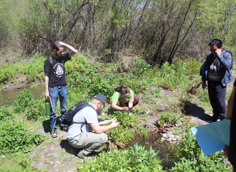 students surveying near a small river 