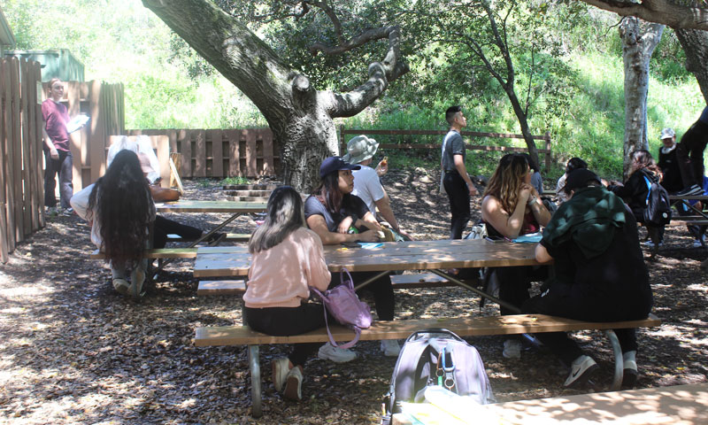 Students at a field trip in Modjeska Canyon