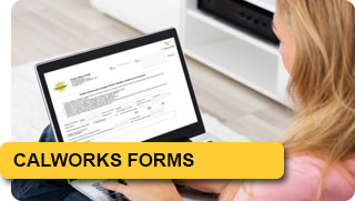 CalWorks - Forms