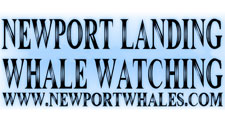 Student Discount - Newport Beach Landing Whale Watching