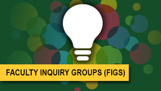 Faculty Inquiry Groups (FIGs)