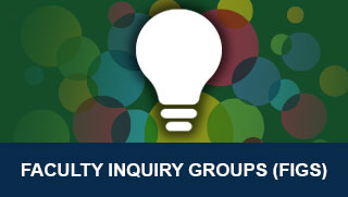 Faculty Inquiry Groups (FIGs)