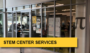 STEM Stem center services